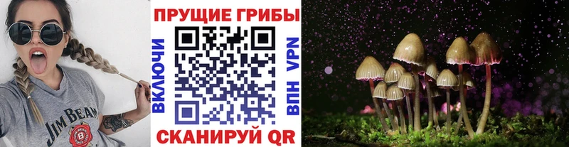 купить наркотики сайты  мега рабочий сайт  Галлюциногенные грибы GOLDEN TEACHER  Рудня 
